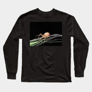 Small crab spider Long Sleeve T-Shirt